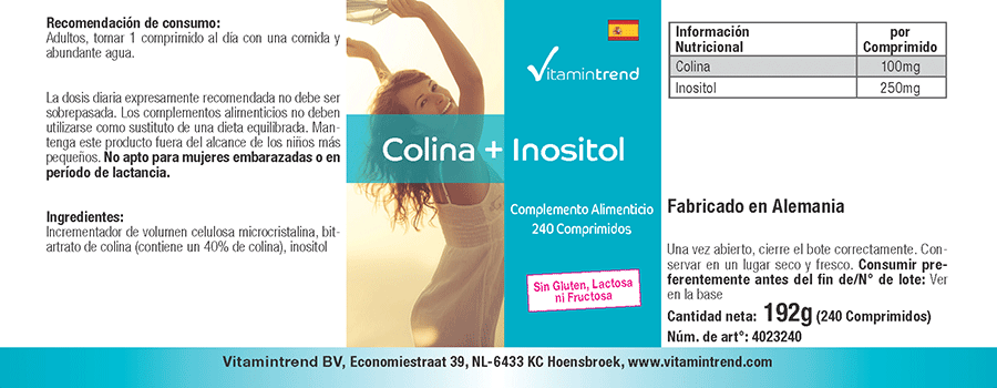 cholin-tabletten-100mg-plus-inositol-250mg-es-4023240