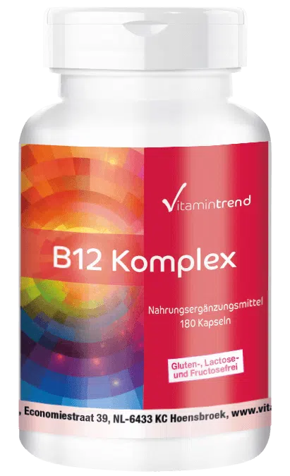 Vitamine B12 180 Gélules Végan