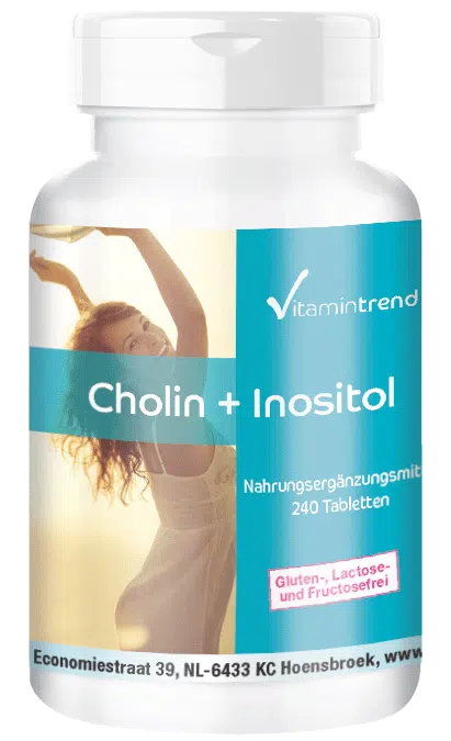 Choline 100mg + Inositol 250mg 240 comprimés, végétalien, flacon avantageux pour 8 mois