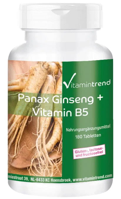 Panax Ginseng + Vitamine B5 - veganistisch - 180 tabletten – grootverpakking