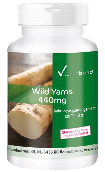 Wild Yams Extrakt 440mg - 120 Tabletten - 20% Diosgenin