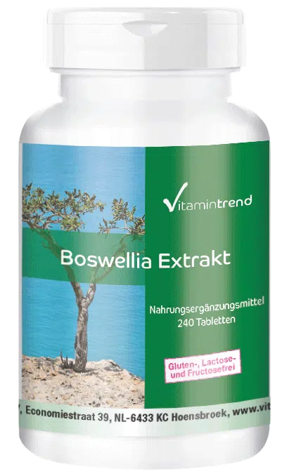 Boswellia-extract 400mg 240 tabletten gedurende 4 maanden Boswellia serrata wierook