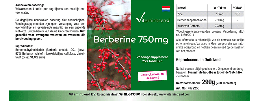 Berberin 750mg - hochdosiert - vegan - 250 Tabletten